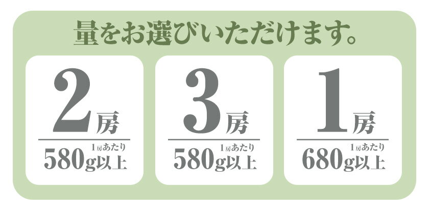 【ふるさと納税】 【先行予約】 岡山県産 選べる つる付きニューピオーネ 2房 580g以上3房 580g以上 1房 680g以上 露地栽培 葡萄 果物 厳選出荷 スイーツ フルーツ デザート 岡山県矢掛町《9月上旬-10月末頃に出荷予定(土日祝除く)》 種なしぶどう 【配送不可地域あり】 サムネイル3