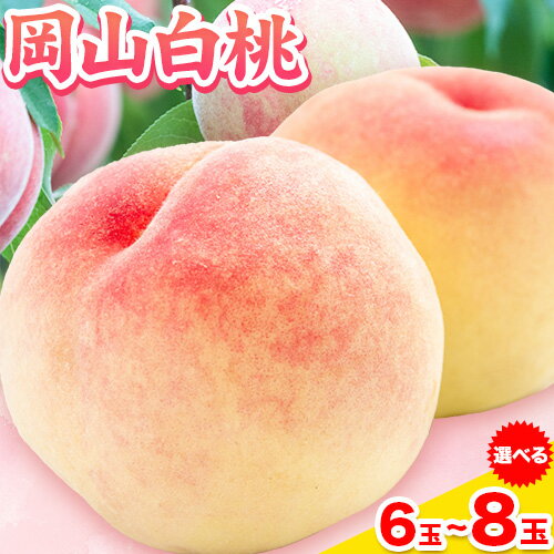【先行予約】岡山県産 岡山白桃 選べる 6玉 (240g以上) 7玉 (260g以上) 8玉 (220g以上) 【配送不可地域あり】 《7月上旬-8月下旬頃に出荷予定(土日祝除く)》 岡山県 矢掛町 桃 もも 白桃 果物