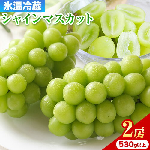 【2025年出荷先行予約】岡山県産 冷蔵 シャインマスカット 2房 (530g以上) 【配送不可地域あり】 《2025年11月中旬-12月末頃に出荷予定(土日祝除く)》 岡山県 矢掛町 マスカット ぶどう 葡萄 氷温冷蔵 果物 フルーツ