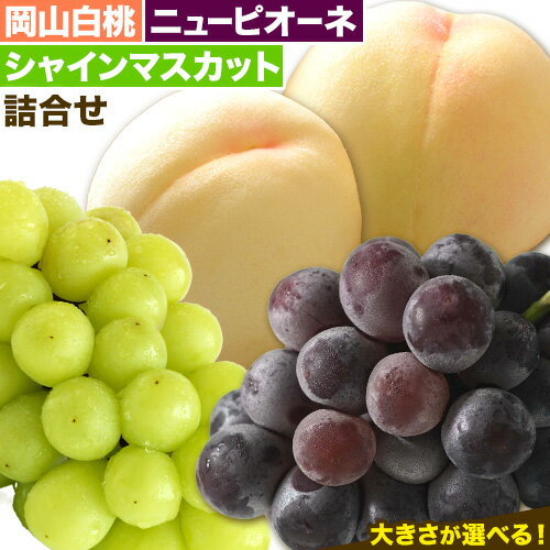 【先行予約】 岡山白桃 & シャインマスカット（晴王）& ニューピオーネ セット【配送不可地域あり】白桃 ロイヤル シャインマスカット 1房 ニューピオーネ 1房《7月上旬-8月中旬頃に出荷予定(土日祝除く)》 岡山県 矢掛町 桃 もも 晴王 ぶどう 詰め合わせ