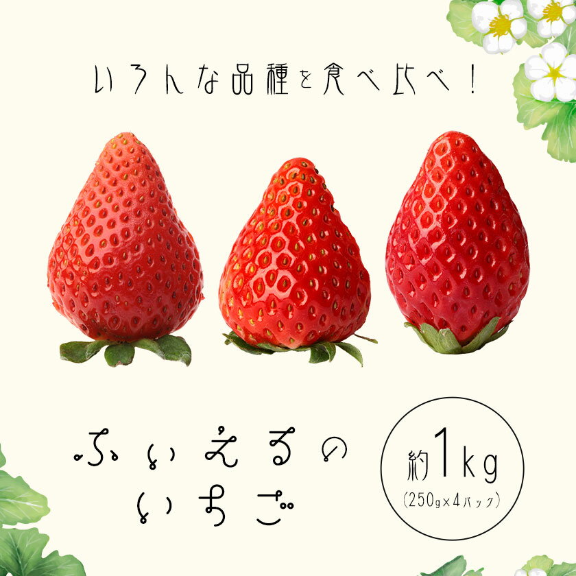 【ふるさと納税】いちご 章姫 晴苺 紅ほっぺ 約1kg(約250g×4P) ふぃえる《1月上旬～4月中旬頃出荷予定》岡山県 矢掛町産 苺 果物 フルーツ ふぃえる サムネイル2