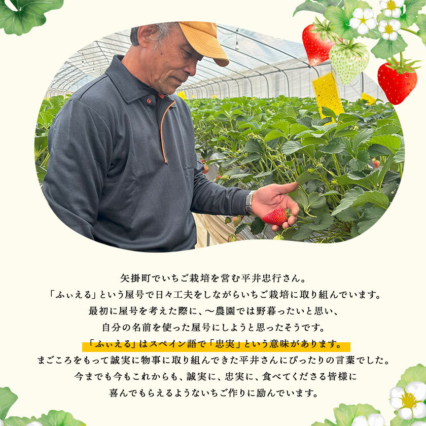 【ふるさと納税】いちご 章姫 晴苺 紅ほっぺ 約1kg(約250g×4P) ふぃえる《1月上旬～4月中旬頃出荷予定》岡山県 矢掛町産 苺 果物 フルーツ ふぃえる サムネイル3