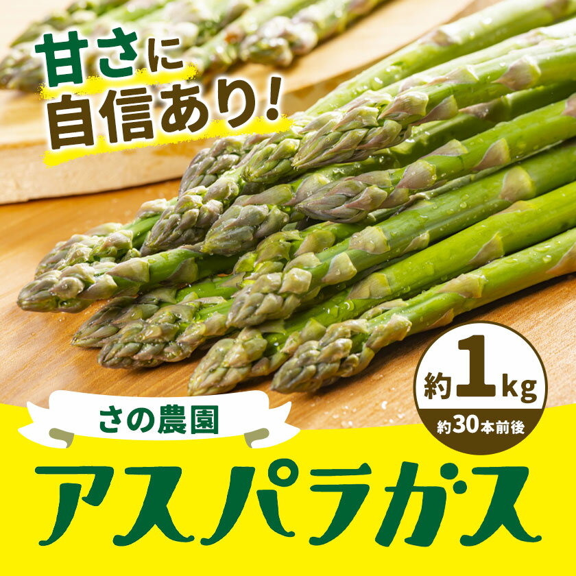 【ふるさと納税】アスパラガス 約 1kg 約 30本 M-2L 野菜 さの農園 岡山県産《4月上旬-10月中旬頃出荷》サラダ アスパラ アスパラベーコン 岡山県 矢掛町 - 画像2