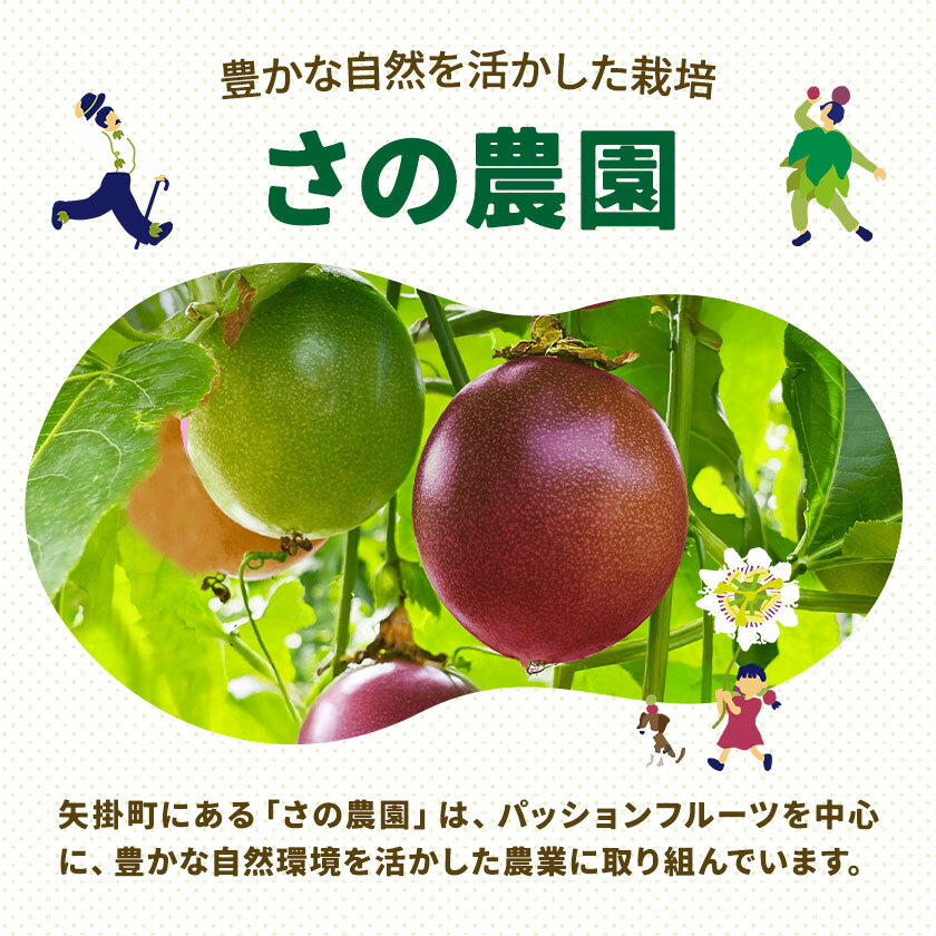 【ふるさと納税】【先行予約】パッションフルーツ 約 1kg 10-15玉 フルーツ 果物 さの農園《2026年8月上旬-9月中旬頃出荷》岡山県産 トロピカル おやつ デザート 青果 岡山県 矢掛町 サムネイル3