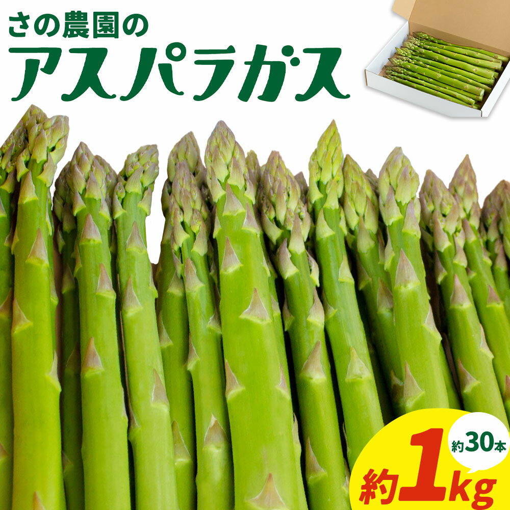 アスパラガス 約 1kg 約 30本 M-2L 野菜 さの農園 岡山県産《4月上旬-10月中旬頃出荷》サラダ アスパラ アスパラベーコン 岡山県 矢掛町