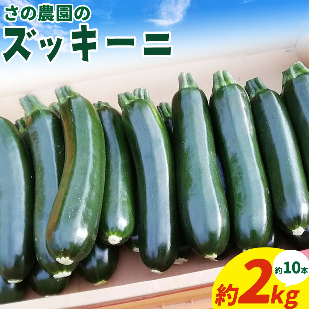 【先行予約】ズッキーニ 約 2kg 約 10本 前後 野菜 さの農園《2026年4月中旬-7月上旬頃出荷》岡山県産 瓜 青果 岡山県 矢掛町