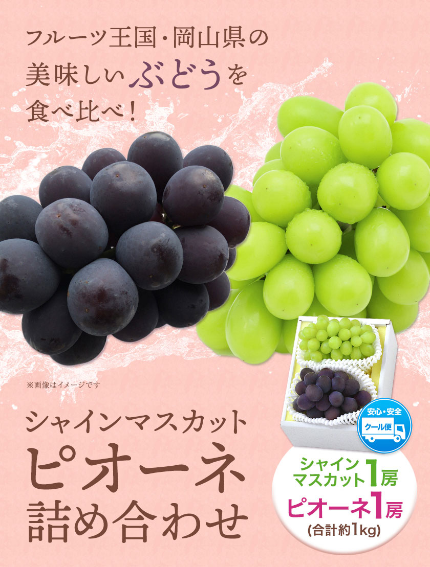 【ふるさと納税】【2026年発送先行予約】シャインマスカット・ピオーネ詰め合わせ 約1.0kg マスカット 葡萄 ブドウ ぶどう ピオーネ フルーツ セット 晴れの国おかやま館 《2026年8月下旬-9月中旬頃出荷》 フルーツ 果物 果実 岡山県 矢掛町 サムネイル2