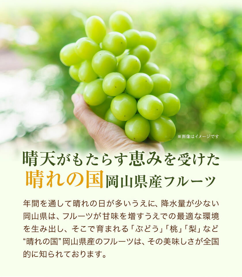 【ふるさと納税】【2026年発送先行予約】 桃・ピオーネ詰め合わせ 約1kg クール便 冷蔵便 桃 もも 葡萄 ブドウ ぶどう ピオーネ フルーツ セット 晴れの国おかやま館 《2026年8月下旬-9月中旬頃出荷》 フルーツ 果物 果実 岡山県 矢掛町 サムネイル3