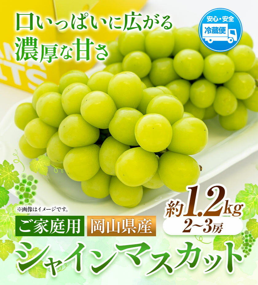 【2026年発送先行予約】【ふるさと納税】ご家庭用 岡山県産 シャインマスカット 1.2kg 2房 3房 晴れの国おかやま館 《2026年9月上旬-10月上旬頃出荷》岡山県 矢掛町 葡萄 マスカット 果物 スイーツ フルーツ デザート【配送不可地域あり】（離島） サムネイル2