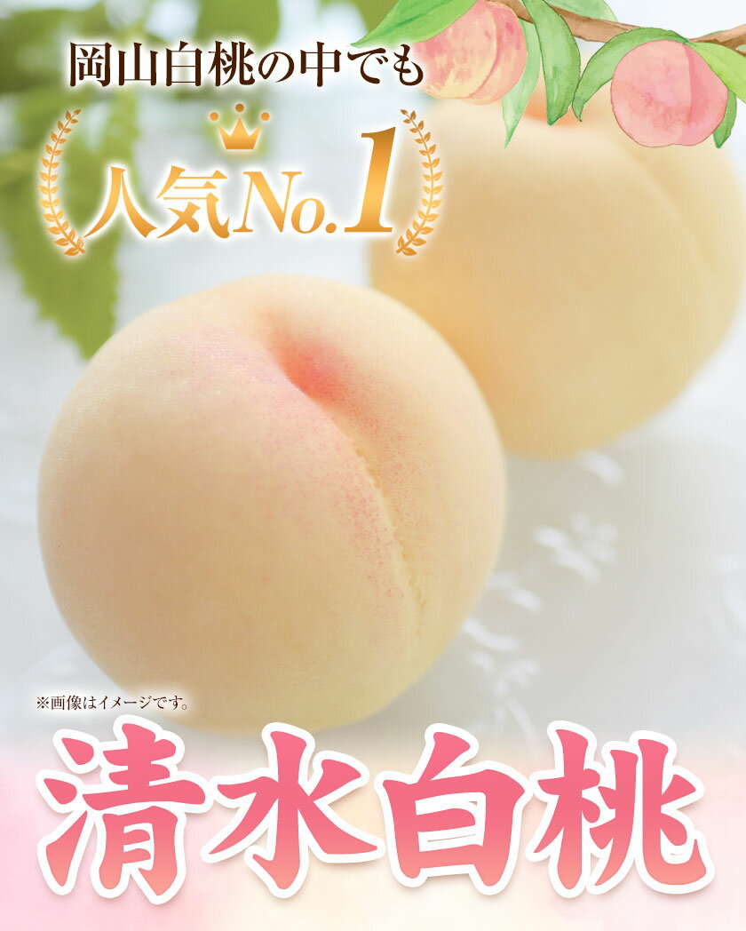 【ふるさと納税】【2026年発送先行予約】清水白桃 8玉 5玉 約2kg 1.3kg 選べる内容量 晴れの国おかやま館《2026年7月下旬-8月上旬頃出荷》 白桃 フルーツ 果物 岡山県 矢掛町 桃 モモ もも 送料無料 サムネイル2