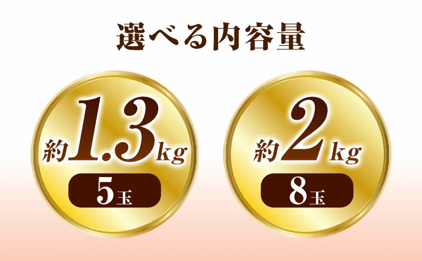 【ふるさと納税】【2026年発送先行予約】清水白桃 8玉 5玉 約2kg 1.3kg 選べる内容量 晴れの国おかやま館《2026年7月下旬-8月上旬頃出荷》 白桃 フルーツ 果物 岡山県 矢掛町 桃 モモ もも 送料無料 サムネイル3