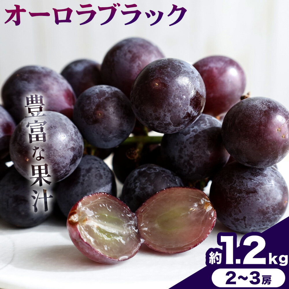 【2026年発送先行予約】ご家庭用 岡山県産 オーロラブラック 1.2kg 2-3房 晴れの国おかやま館 《2026年9月上旬-9月下旬頃出荷》岡山県 矢掛町 葡萄 ぶどう 果物 スイーツ フルーツ デザート【配送不可地域あり】（離島）