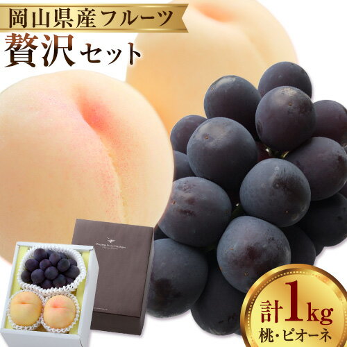 【2026年発送先行予約】 桃・ピオーネ詰め合わせ 約1kg クール便 冷蔵便 桃 もも 葡萄 ブドウ ぶどう ピオーネ フルーツ セット 晴れの国おかやま館 《2026年8月下旬-9月中旬頃出荷》 フルーツ 果物 果実 岡山県 矢掛町