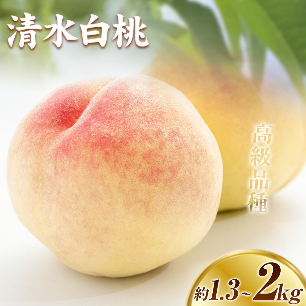 【2026年発送先行予約】清水白桃 8玉 5玉 約2kg 1.3kg 選べる内容量 晴れの国おかやま館《2026年7月下旬-8月上旬頃出荷》 白桃 フルーツ 果物 岡山県 矢掛町 桃 モモ もも 送料無料