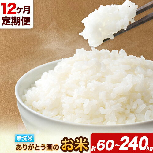 【12ヶ月定期便】 令和7年産 米 岡山県産 ありがとう園のお米 無洗米 選べる 5kg 10kg 15kg 20kg ありがとう園《お申込み月の翌月から出荷開始》岡山県 矢掛町 無洗米 米 コメ 定期便 定期 きぬむすめ ひのひかり