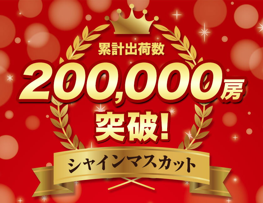 【ふるさと納税】【数量限定 晴王便！】 【アフター保証付き】★ランキング1位★ シャインマスカット 約650g〜 2kg 定期便 選べる内容 《9月上旬-11月上旬頃出荷》 シャインマスカット 岡山 マスカット 定期便 送料無料 果物 フルーツ 総合ランキング 入賞 楽天限定 先行予約 - 画像2