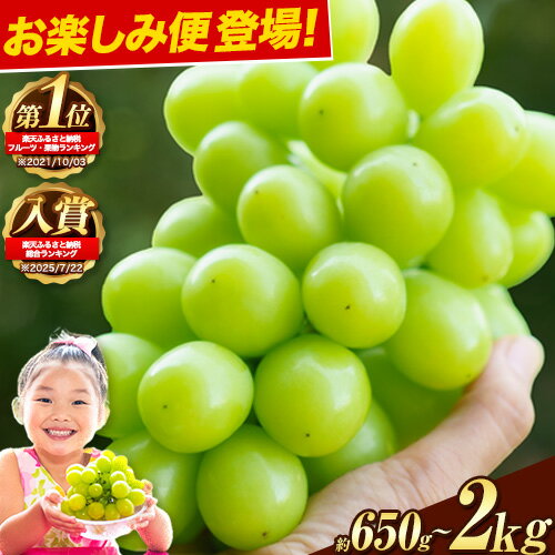 【限定企画登場】★ランキング1位★ シャインマスカット 約650g〜 2kg 選べる内容 《9月上旬-11月中旬頃出荷》 シャインマスカット 岡山 矢掛町 マスカット 定期便 晴王 人気 期間限定 ぶどう ブドウ 旬 果物 フルーツ 送料無料 先行予約 ギフト 贈答 高評価
