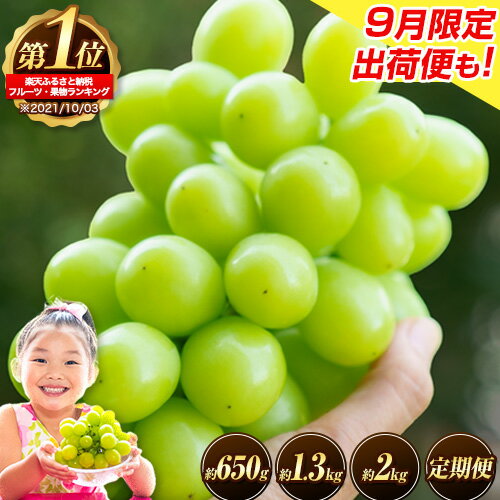 フルーツランキング1位！ 高レビュー続出 厳選 シャインマスカット 約650g〜 2kg 定期便 選べる内容量 《9月上旬-11月上旬頃出荷》 シャインマスカット 岡山 マスカット 定期便 送料無料 果物 フルーツ 総合ランキング 入賞 楽天限定 先行予約 - 岡山県 矢掛町のふるさと納税返礼品（ランキング7位）