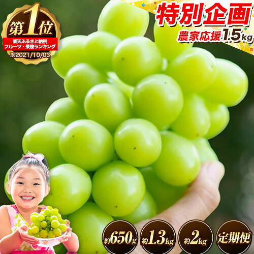 フルーツランキング1位！ 高レビュー続出 厳選 シャインマスカット 約650g〜 2kg 定期便 選べる内容量 《9月上旬-11月上旬頃出荷》 シャインマスカット 岡山 マスカット 定期便 送料無料 果物 フルーツ 総合ランキング 入賞 楽天限定 先行予約
