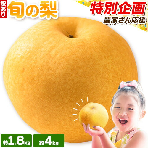 訳あり 旬の梨 約1.8kg 2~5玉前後 約4kg 3〜10玉前後 岡山県産 梨 訳あり 新高 愛宕 王秋梨 鴨梨 岡山 矢掛町《9月上旬-1月末頃に出荷予定》数量限定 梨 なし ナシ