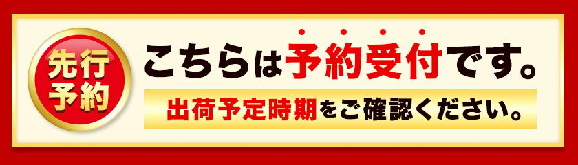 【ふるさと納税】【先行予約】岡山県産 ニューピオーネ 選べる 約600g(1房) 約1.2kg(2房) 葡萄 果物 秋旬 訳あり 優品 厳選出荷 スイーツ フルーツ デザート 岡山県矢掛町《2025年9月上旬〜11月上旬頃に出荷予定(土日祝除く)》数量限定 2025 サムネイル2