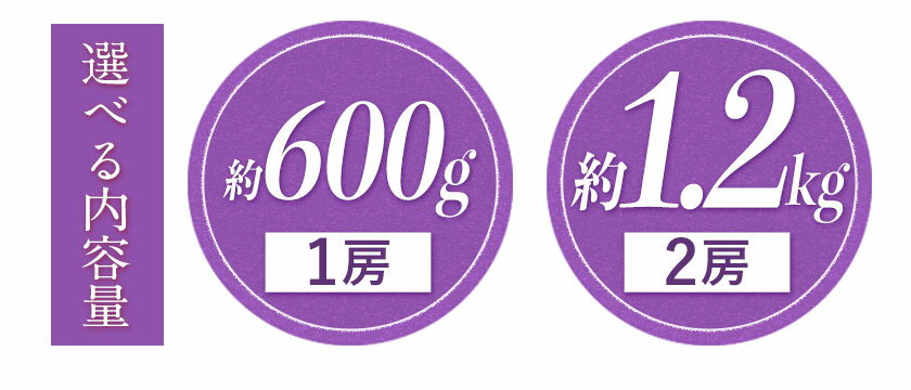 【ふるさと納税】岡山県産 ニューピオーネ 約1.2kg or 約600g 2房 1房 葡萄 果物 秀品 スイーツ フルーツ デザート 秋旬 岡山県矢掛町《8月下旬〜10月中旬頃に出荷予定(土日祝除く)》 - 画像3