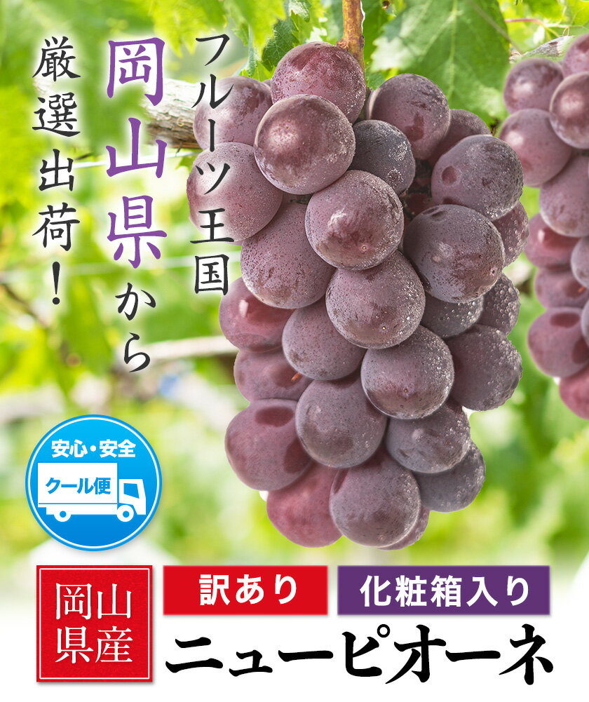 【ふるさと納税】【先行予約】岡山県産 ニューピオーネ 選べる 約600g(1房) 約1.2kg(2房) 葡萄 果物 秋旬 訳あり 優品 厳選出荷 スイーツ フルーツ デザート 岡山県矢掛町《2025年9月上旬〜11月上旬頃に出荷予定(土日祝除く)》数量限定 2025 サムネイル3