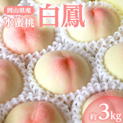 岡山県産「白鳳(水蜜桃)」約3kg|7月上旬頃～順次発送【配送不可地域：離島】【1488991】