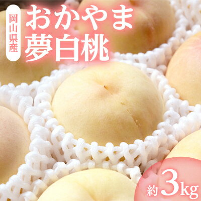 岡山県産「おかやま夢白桃」約3kg|7月下旬頃～順次発送【配送不可地域：離島】【1488993】