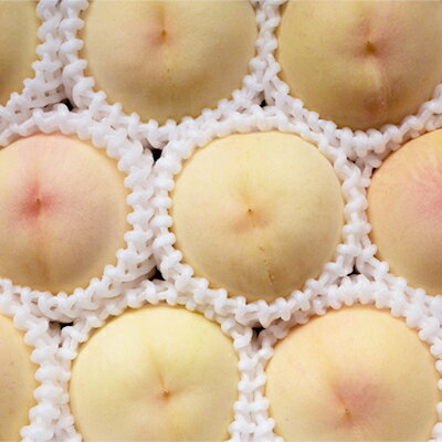 【ふるさと納税】岡山県産「おかやま夢白桃」約3kg|7月下旬頃～順次発送【配送不可地域：離島】【1488993】 サムネイル2