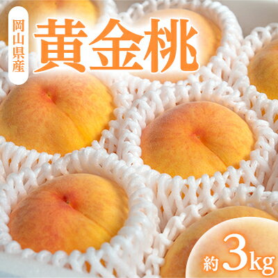 岡山県産「黄金桃」約3kg|8月下旬頃～発送予定【配送不可地域：離島】【1488995】
