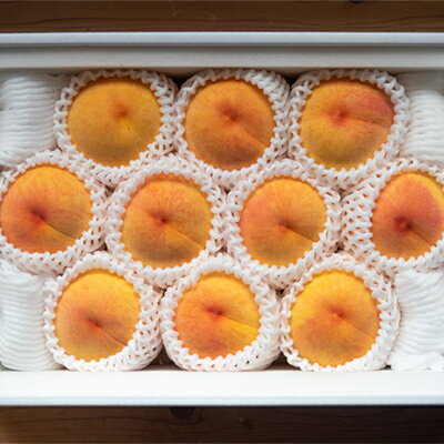 【ふるさと納税】岡山県産「黄金桃」約3kg|8月下旬頃～発送予定【配送不可地域：離島】【1488995】 サムネイル2