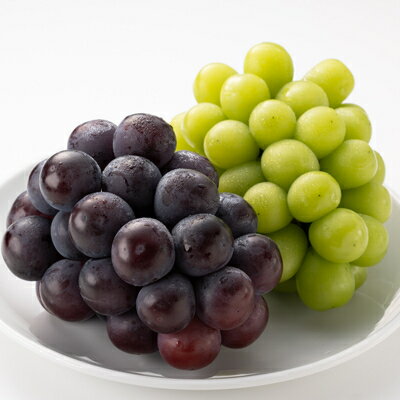 【ふるさと納税】1062.【先行予約】特選大粒ぶどう2種セット(シャインマスカット入り)10月初旬〜12月発送予定【1488998】 サムネイル2