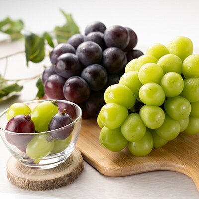 【ふるさと納税】1062.【先行予約】特選大粒ぶどう2種セット(シャインマスカット入り)10月初旬〜12月発送予定【1488998】 サムネイル3