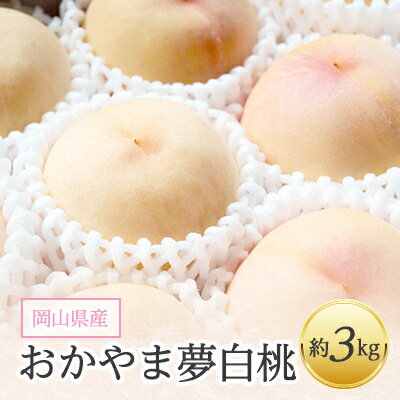 岡山県産「おかやま夢白桃」約3kg|2026年7月下旬以降発送予定【1489035】