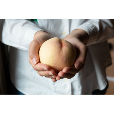 岡山県産「おかやま夢白桃」約2kg|2026年7月下旬以降順次発送予定【1516922】