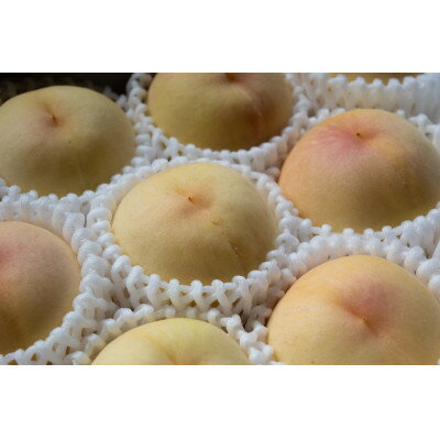 【ふるさと納税】岡山県産「おかやま夢白桃」約2kg|2026年7月下旬以降順次発送予定【1516922】 サムネイル2