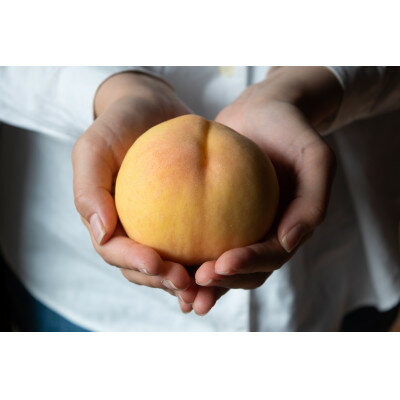 岡山県産「清水白桃」約1kg|2026年7月下旬以降順次発送予定【1516926】