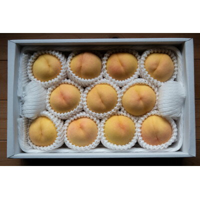 【ふるさと納税】岡山県産「清水白桃」約1kg|2026年7月下旬以降順次発送予定【1516926】 サムネイル2