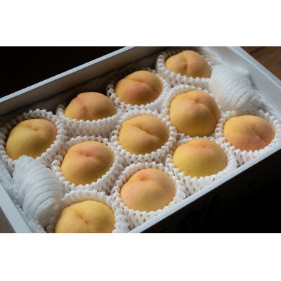 岡山県産「清水白桃」約3kg|2026年7月下旬以降順次発送予定【1516928】