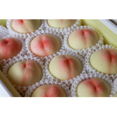 岡山県産「白鳳」約1kg|2026年7月中旬以降順次発送予定【1516929】