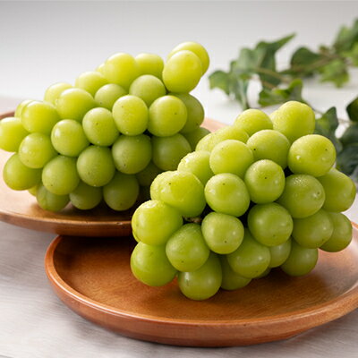 【ふるさと納税】1065.【先行予約】特選大粒シャインマスカット2〜4房(10月初旬〜12月下旬頃発送予定)【1516936】 サムネイル2