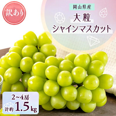 1066.【先行予約】訳あり大粒シャインマスカット2〜4房(10月初旬〜12月下旬頃発送予定)【1516937】