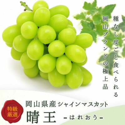 岡山県産 シャインマスカット『晴王』3〜5房 (約2kg)【配送不可地域：離島】【1546681】