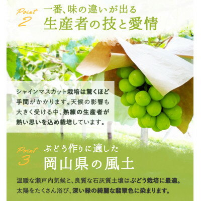 【ふるさと納税】岡山県産 シャインマスカット『晴王』3〜5房 (約2kg)【配送不可地域：離島】【1546681】 サムネイル3