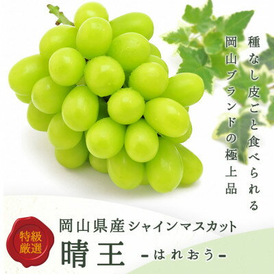 岡山県産 シャインマスカット『晴王』2房(1房480g以上) 化粧箱入り【配送不可地域：離島】【1546682】