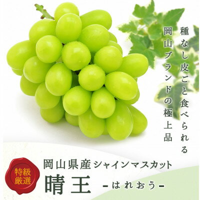 岡山県産 シャインマスカット『晴王』1房(800g以上) 化粧箱入り【配送不可地域：離島】【1546683】