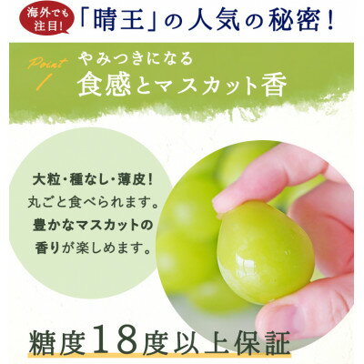 【ふるさと納税】岡山県産 シャインマスカット『晴王』1房(800g以上) 化粧箱入り【配送不可地域：離島】【1546683】 サムネイル2