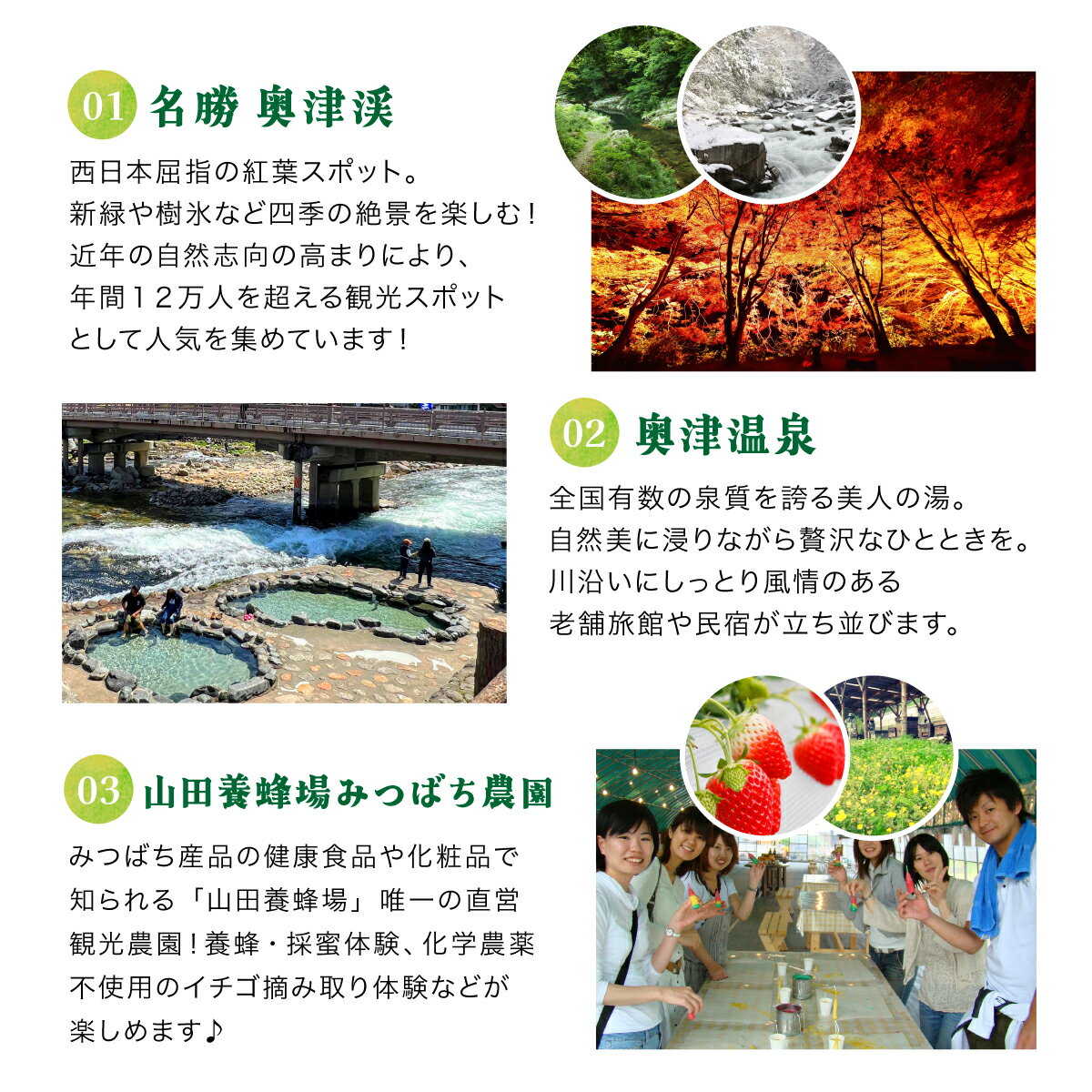 【ふるさと納税】岡山県鏡野町の対象施設で使える楽天トラベルクーポン　寄附額50,000円（15,000円クーポン）観光 旅行 ホテル 旅館 クーポン チケット 予約 母の日 父の日 返礼品 宿泊券 旅行券 宿泊 楽天 トラベル 宿泊 予約 岡山県 鏡野町 岡山県 サムネイル3