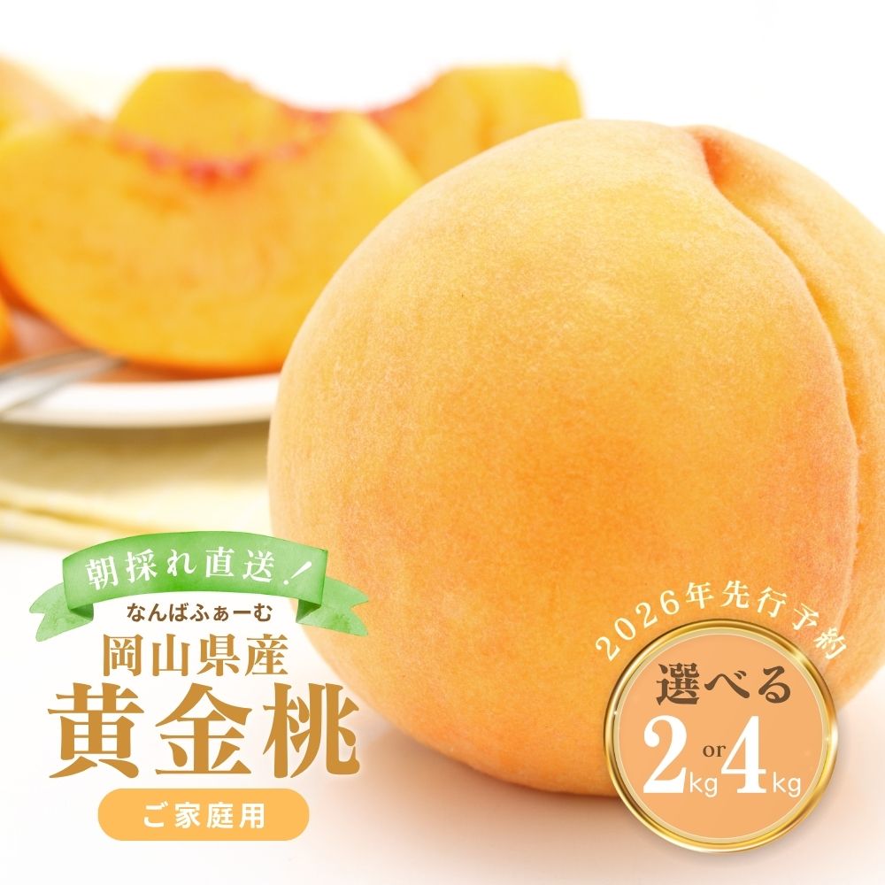 ＜2026年先行予約＞＜選べる容量＞［なんばふぁーむ］岡山県産 黄金桃［ご家庭用］2.0kg（5～9玉）or 4.0kg（11～14玉）| 選べる 2キロ 4キロ 2kg 4kg 大容量 厳選 希少品種 ふるさと納税 フルーツ 桃 もも 岡山 果物 くだもの 送料無料